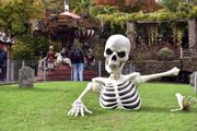 Skeleton at Halloween