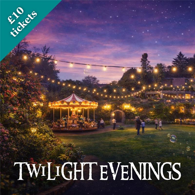 Twilight Evenings Watermoutyh Castle