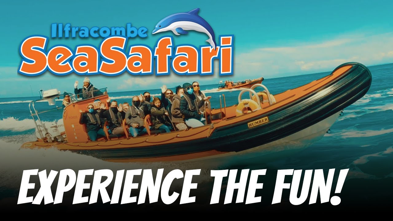 Ilfracombe Sea Safari