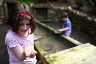 WATERMOUTH CASTLE 037