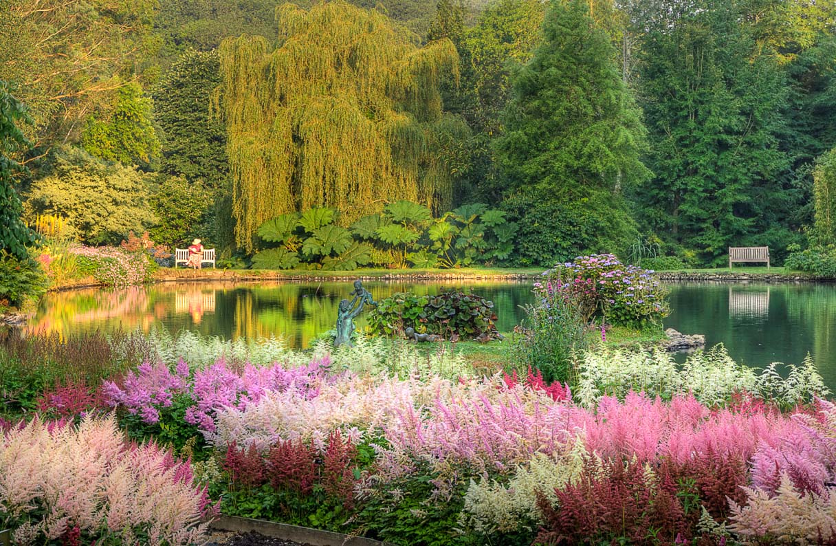 Marwood Hill Gardens