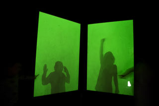 WATERMOUTH CASTLE 029