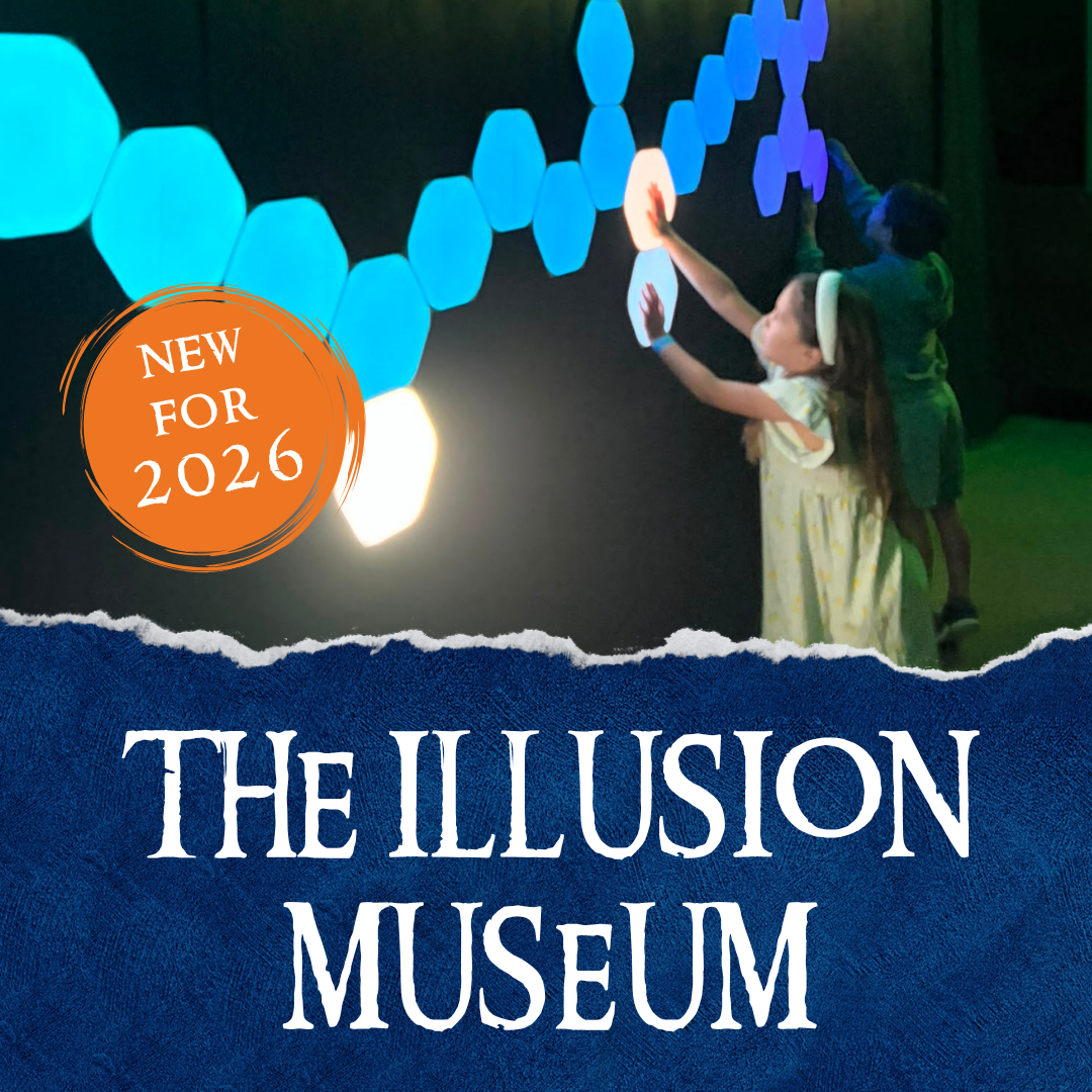 The Illusion Museum