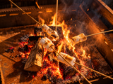Marshmallows (1)