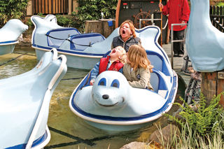 Seal Water Go Round (1)