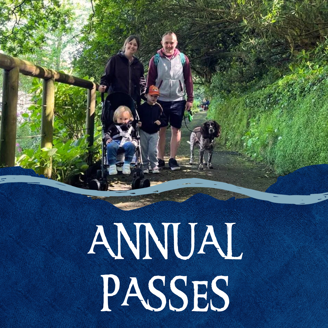 Annual Passes Watermouth Castle