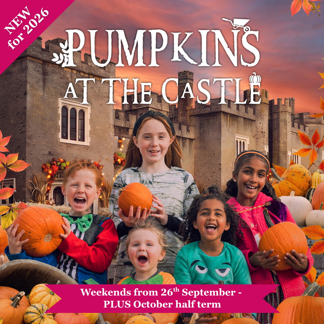 Pumpkins At Watermouth Castle (1)