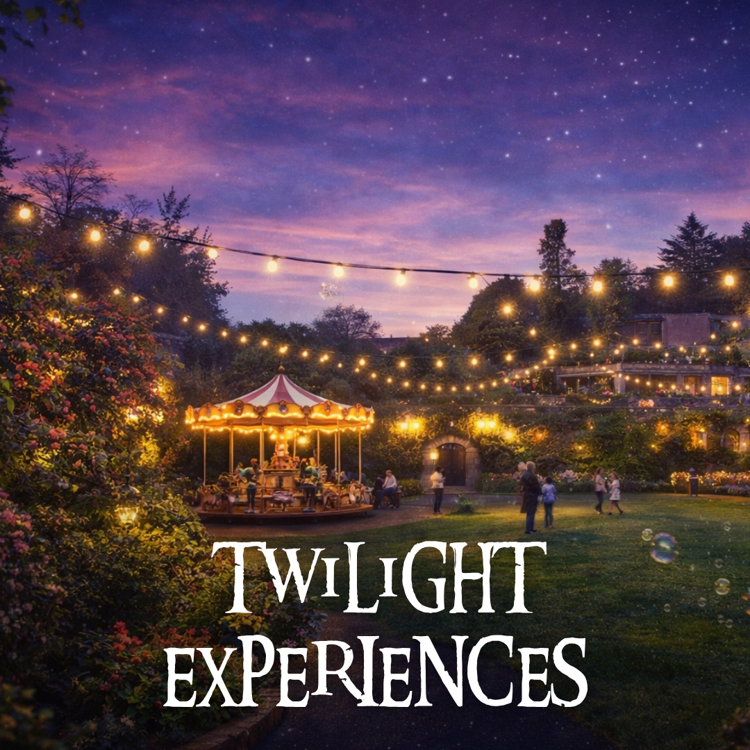 Watermouth Castle Twilight Experiences Evening Family Event.Jpg