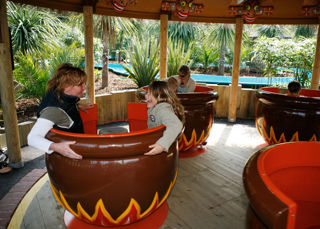 Teacups